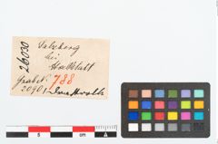 Etikett zu Bronzespiralröhrchen (NHMW-PRAE-026030)